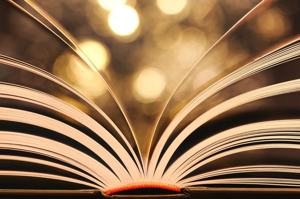 how to find and embrace your author voice