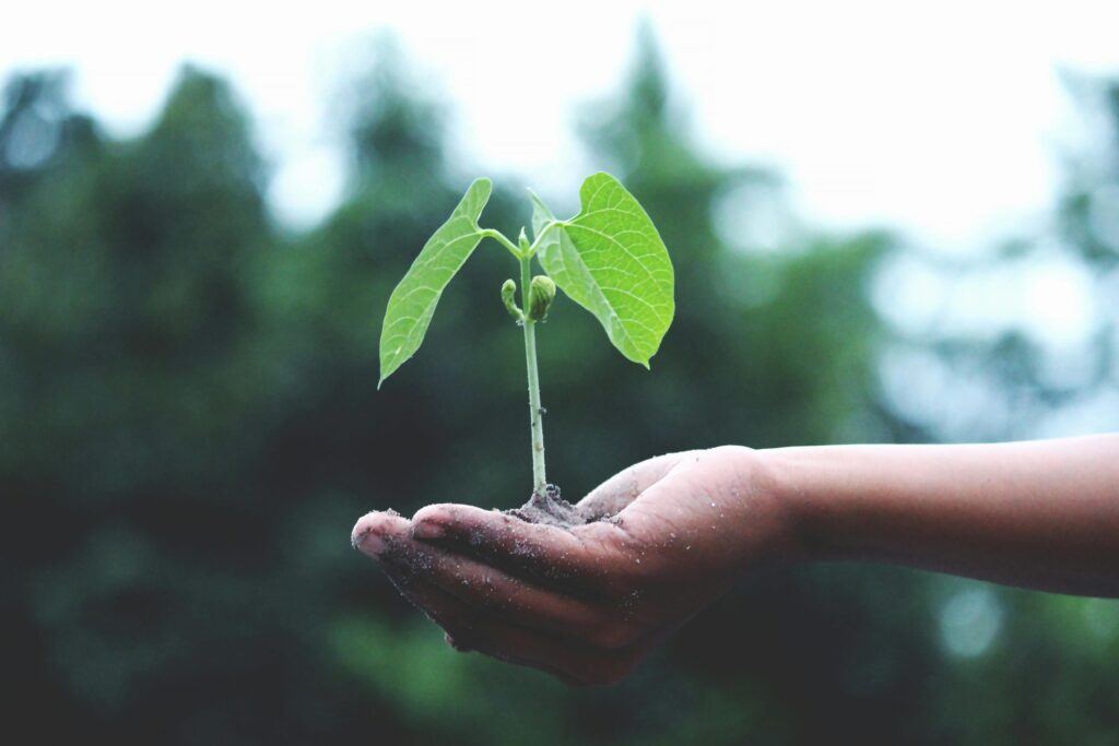 Signs of character growth