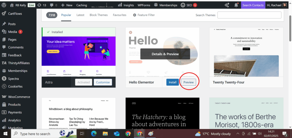 how to preview themes in WordPress website design