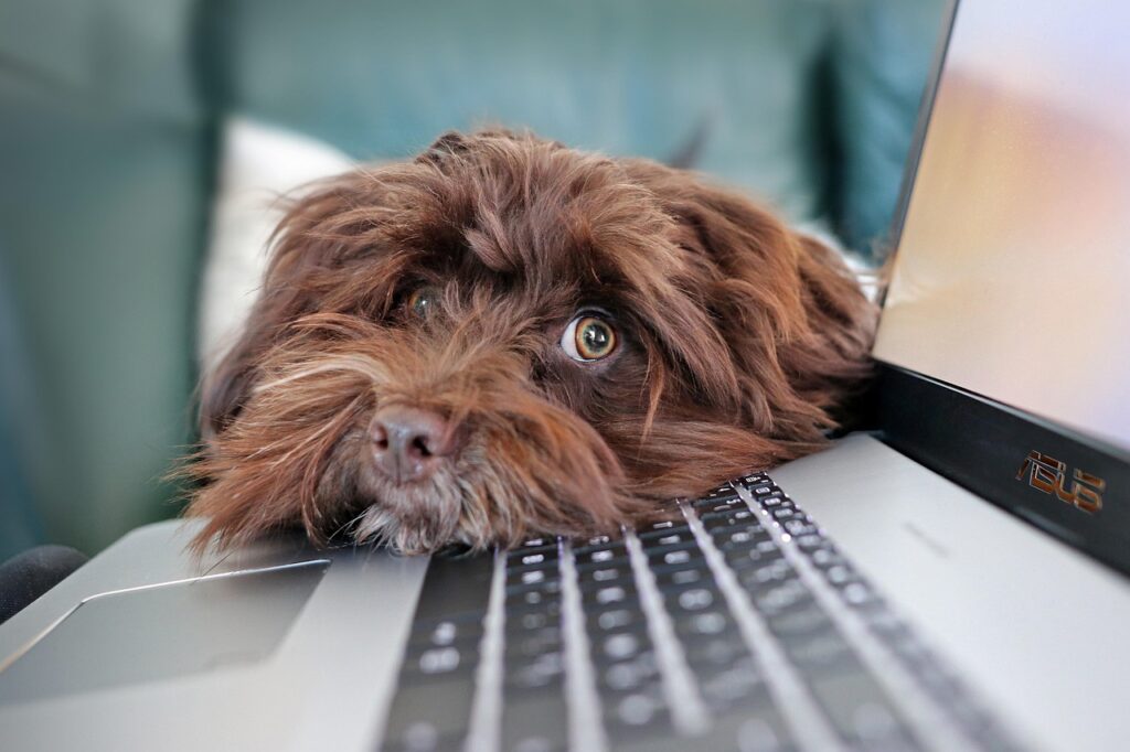 common concerns about setting up your author website