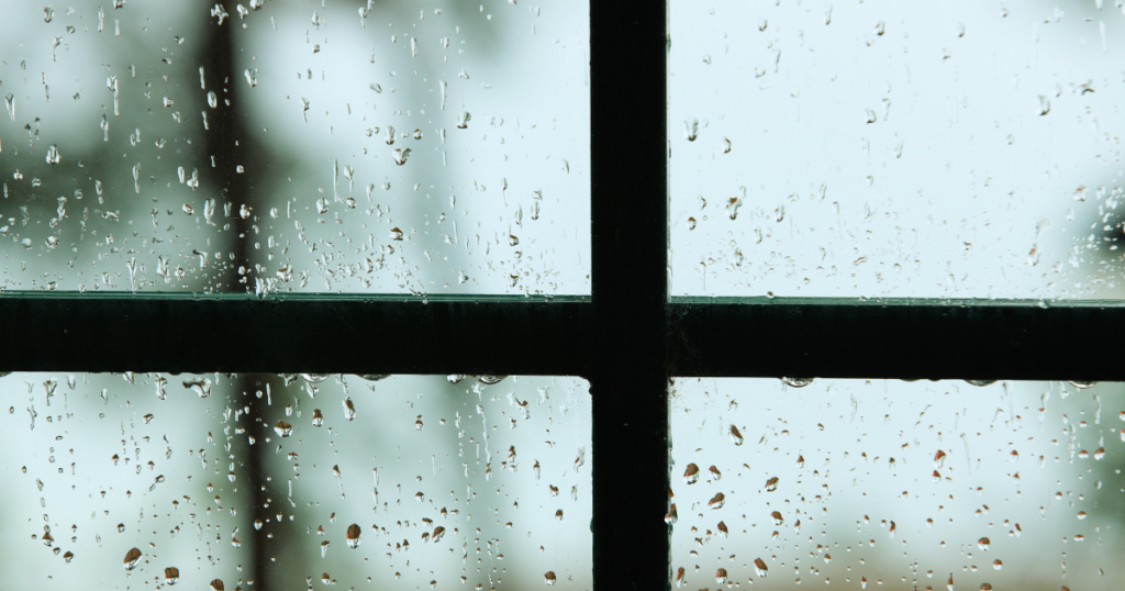 show don't tell in fiction writing, advice for authors