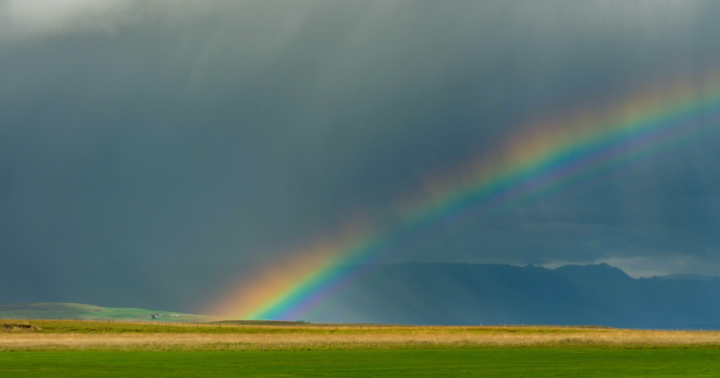 show don't tell in fiction writing, advice for authors