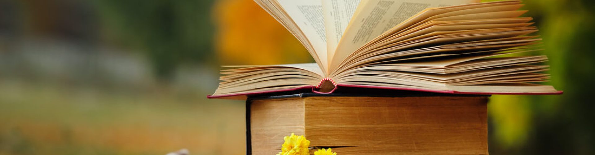 a stack of books on a picnic blanket. the top book is open and its pages flap in the breeze